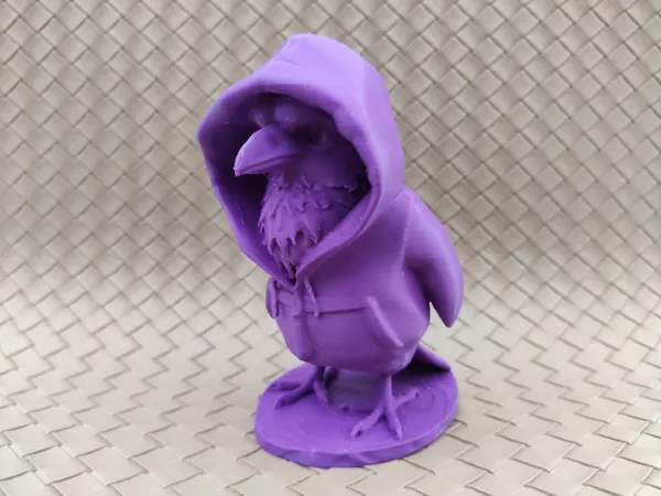 Aigle en sweat à capuche