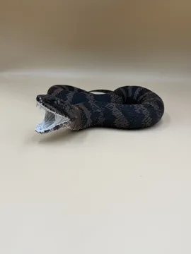 Letrero o emblema decorativo: Cottonmouth — Swamp Strike — vista de referencia 5