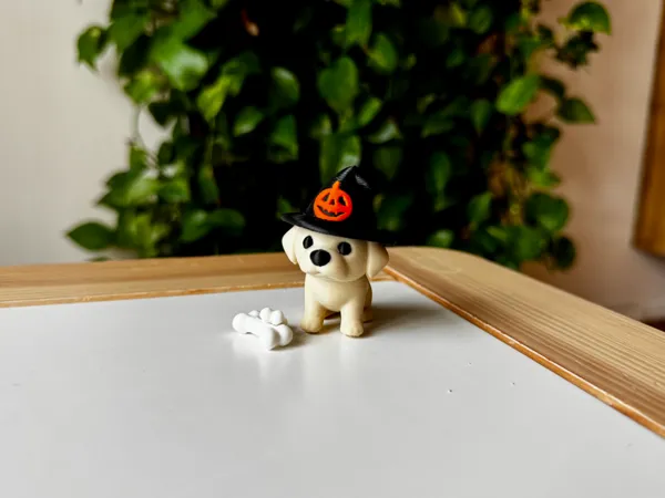 https://makerworld.bblmw.com/makerworld/model/USf3ce465f090d19/design/2025-10-24_077f60284a656.jpeg