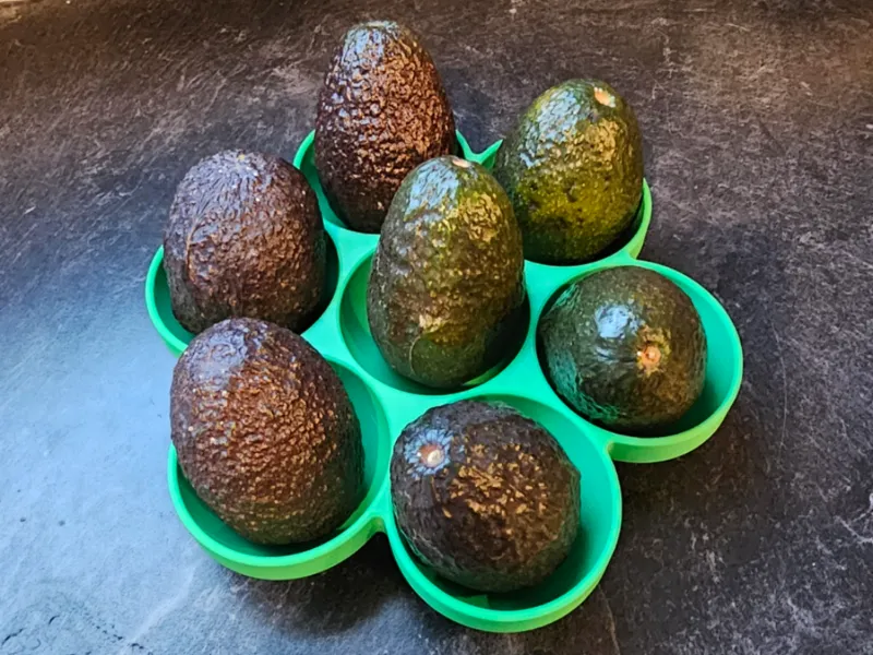 Avocado Revolver