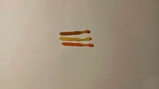 fishing lure mold