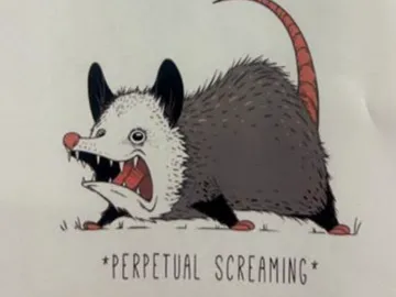 Perpetual Screaming Possum