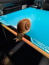 2 color 0.2mm layer, 2 walls, 15% infill