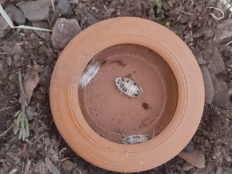 Escape-Proof Reptile Meal Bowl