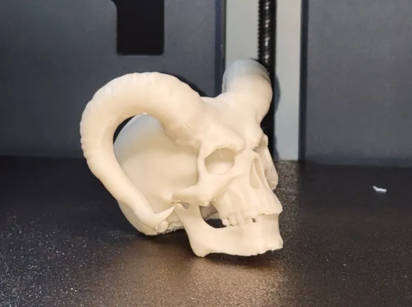 https://makerworld.bblmw.com/makerworld/model/USf3e67bb35dfaa5/design/2025-01-18_00c37663c969a.jpg