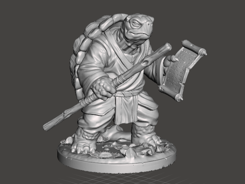 D&D Tortle Monk