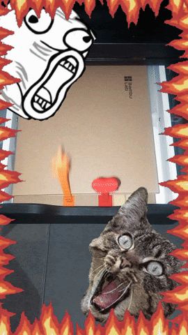 Middle Finger/I Love You drawer prank