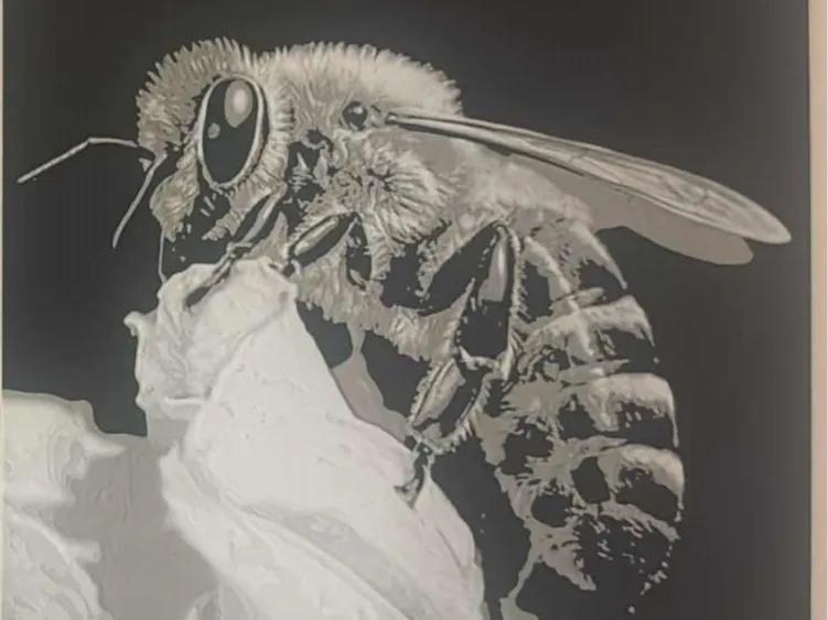 Bee Hueforge 3 color