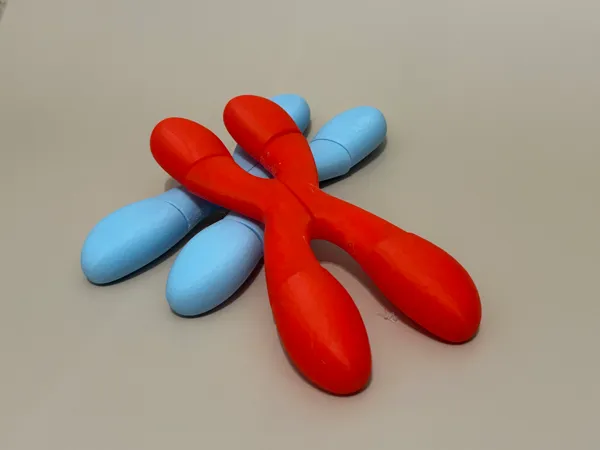 https://makerworld.bblmw.com/makerworld/model/USf3f5b870a89aba/design/2024-08-21_829d8760702ac8.jpg