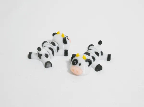 https://makerworld.bblmw.com/makerworld/model/USf3f6b05be8f7a8/design/2024-12-01_33770377359ae.jpg