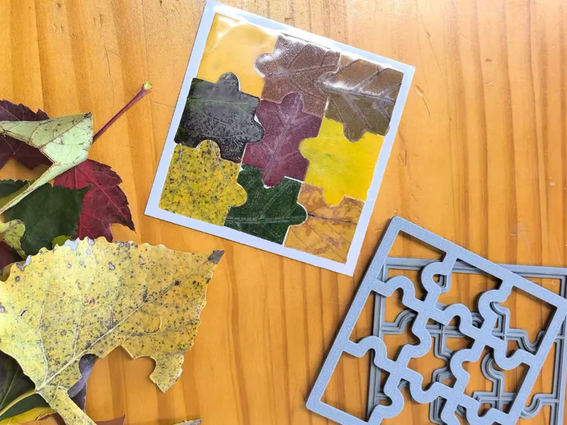 Leaf Puzzle Cutting Die