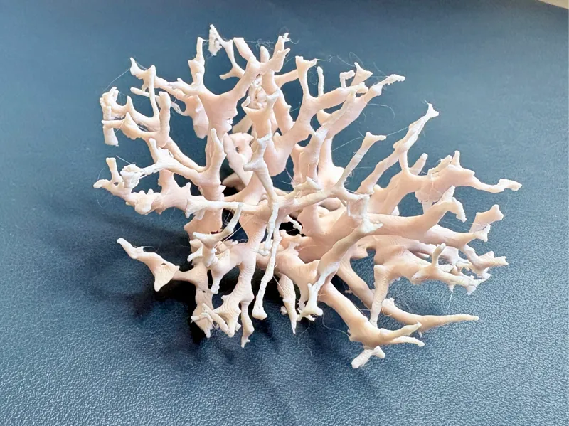 Organic Coral Vessel model