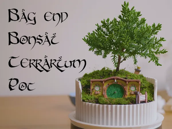https://makerworld.bblmw.com/makerworld/model/USf3f87958bafca8/design/2024-10-24_6de4ea23856bd.png