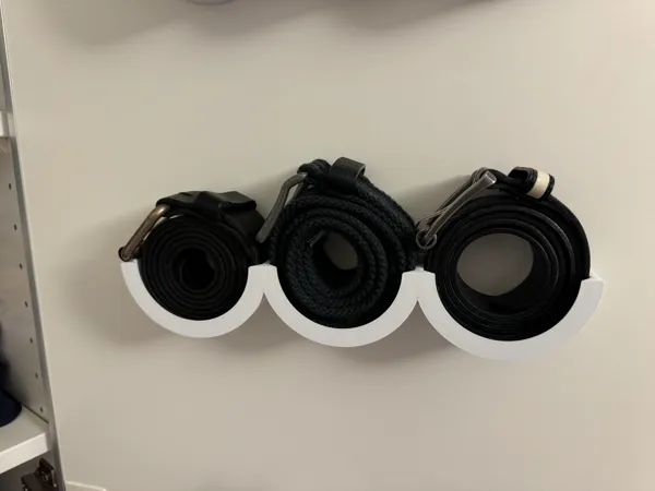 https://makerworld.bblmw.com/makerworld/model/USf3fcb4057f4994/design/2024-07-30_acf7e9bda5702.jpg