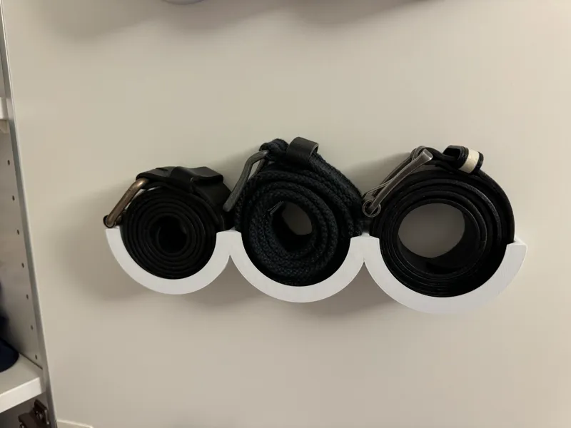 Belt Holder Wardrobe Door