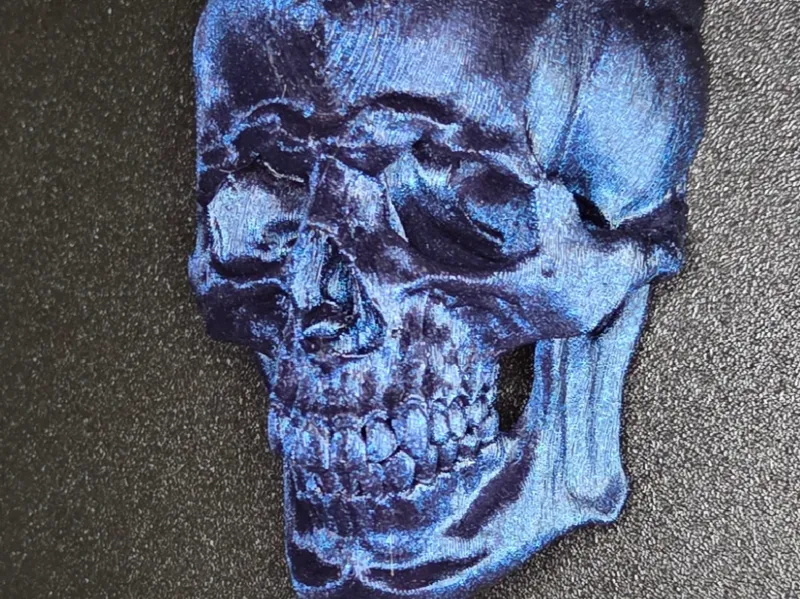 Skull Wall Art