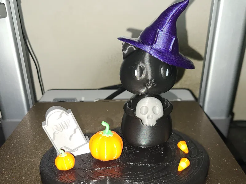 Witch Cat
