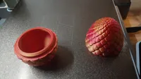 Œuf de dragon géant — photo 2