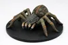 Giant Spider: 0.4mm Nozzle, 0.12mm layer, 3 walls, 8% infill