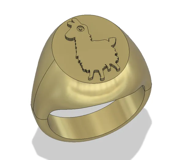 https://makerworld.bblmw.com/makerworld/model/USf40fd28cd16f3c/design/2024-02-17_7e0343b87155a.png
