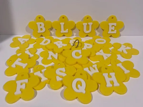 https://makerworld.bblmw.com/makerworld/model/USf4116c9035920a/design/2024-12-09_bffdd7f9c473.jpg
