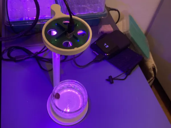 https://makerworld.bblmw.com/makerworld/model/USf4147b933c72a2/design/2025-02-24_f642f62737032.jpeg