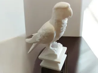 Parrot