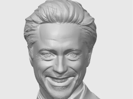 Robert Downey Jr. Bust