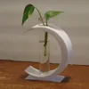 Moon (1 tube)
