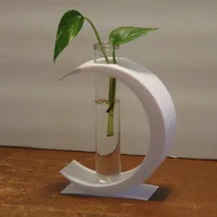 Moon (1 tube)