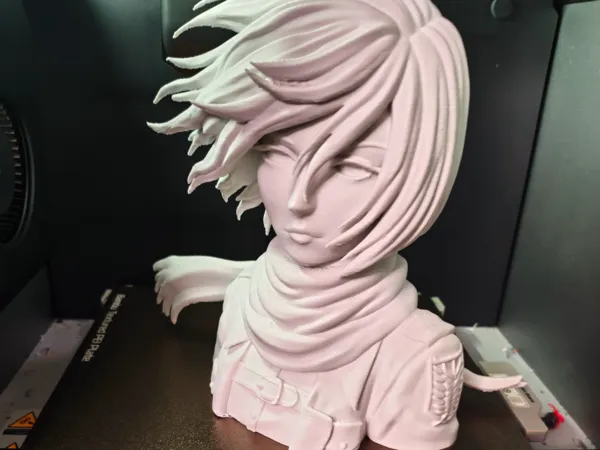 https://makerworld.bblmw.com/makerworld/model/USf41b86876badf/design/9be1351cee5e6b1e.jpg