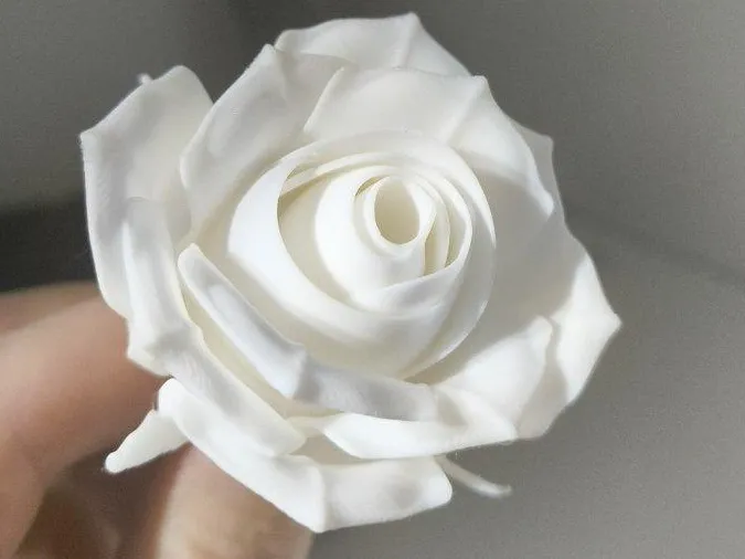 3Roses .2 Nozzel, 0.08mm layer, 3 walls, 10% inf.
