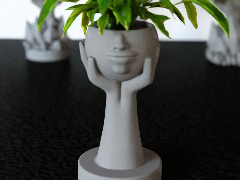 Hands holding flower pots head