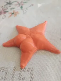 Étoile de mer aimantée pour frigo — photo 3
