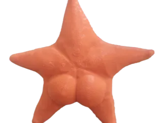 CONICET ESTRELLA DE MAR PARA HELADERA