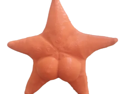 CONICET ESTRELLA DE MAR PARA HELADERA