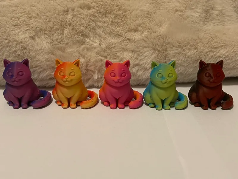 Cute Little Cat