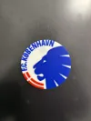 Copenhagen 0.2mm layer height, 2 walls, 15% infill