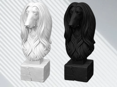 Dog Bust - Afghan Hound