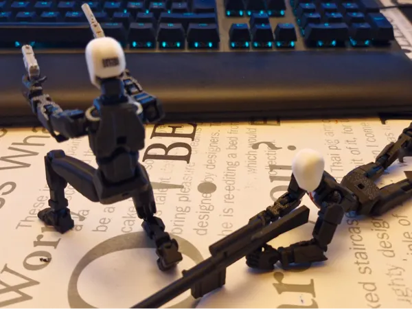 https://makerworld.bblmw.com/makerworld/model/USf43ca7013574cb/design/2025-02-10_14b72fdbdc92e.jpg