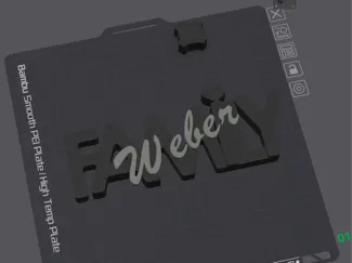 Familienschild, Individueller Name