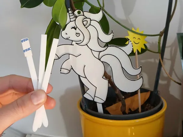 Piques décoratives pour pot de fleurs