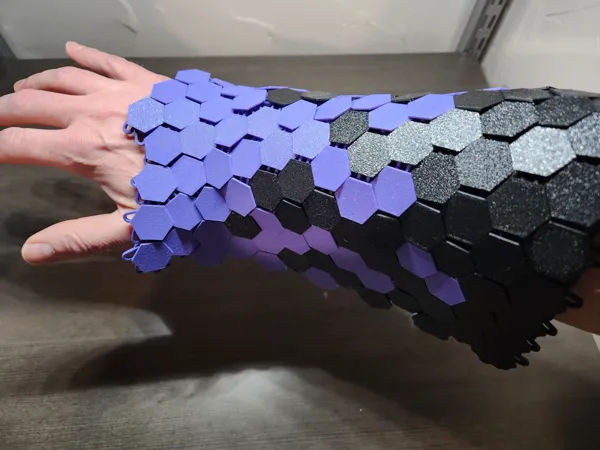 https://makerworld.bblmw.com/makerworld/model/USf450621c4233e9/design/2024-02-03_3c0b909bf3daa.jpg