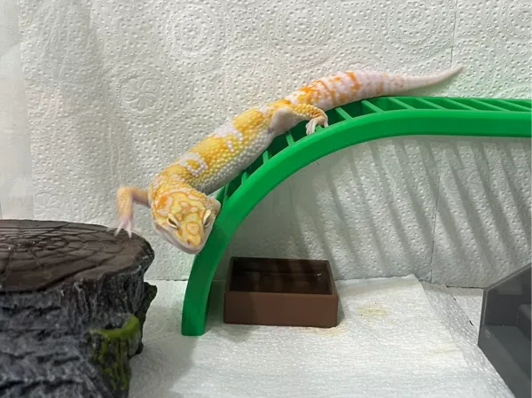 https://makerworld.bblmw.com/makerworld/model/USf452889895d880/design/2025-08-31_212b590a3339e8.jpeg
