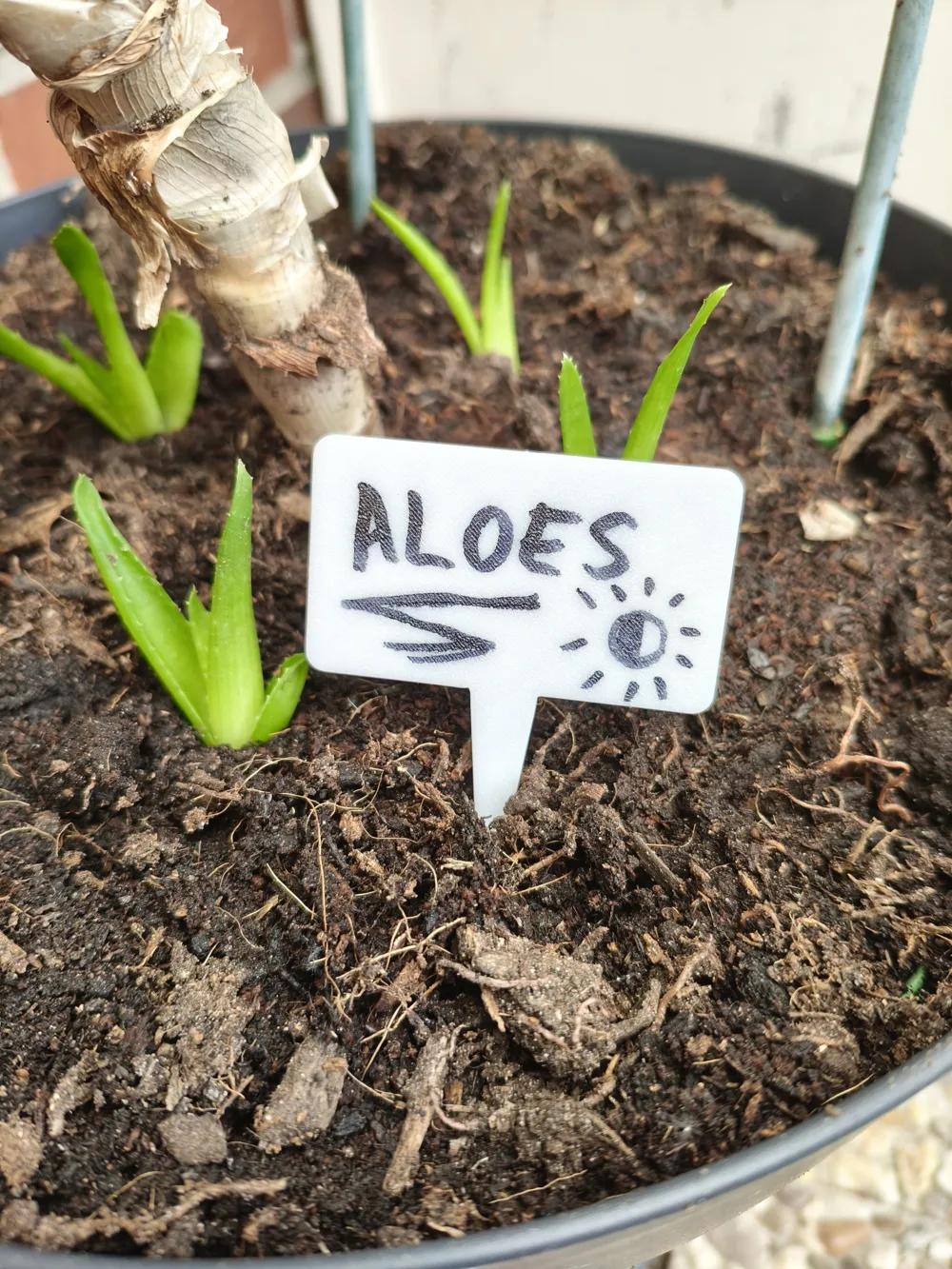 Plant Marker Sign - Free 3D Print Model - MakerWorld