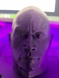 Buste stylisé Dwayne Johnson — photo 5