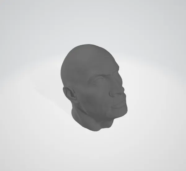 https://makerworld.bblmw.com/makerworld/model/USf45ec445345f2b/design/2023-12-09_6990a27bf704a.png