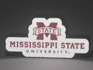 MSU Lightbox