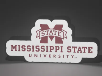 MSU Lightbox