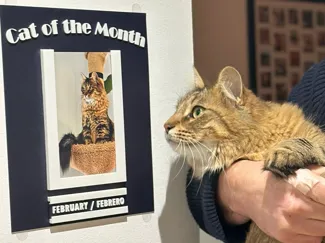 Cat (or Dog) of the Month plaque
